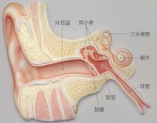 什么是性交障碍？