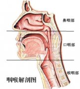 引发死精症的常见因素有哪些？